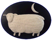 Sheep at Night